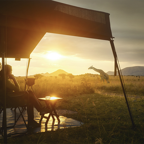 https://www.terdav.com/ps-tanzanie/rn-vallee-rift/tp-voyage-famille/at-safari/tanf11--traces-simba-lion