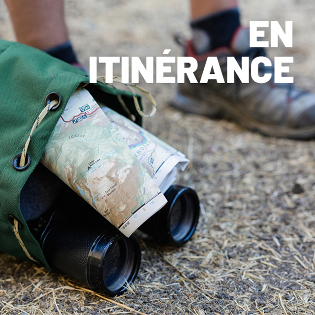 Texte alternatif